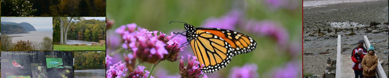 Pandora box- Unearthed Mother nature